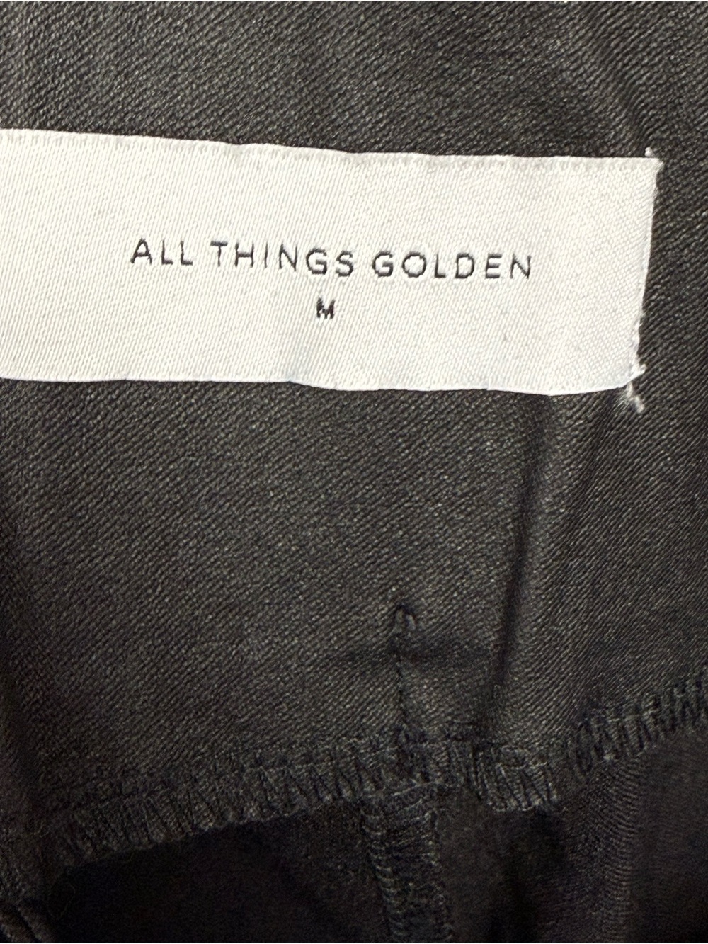 All Things Golden Second Skin Vegan Leather Black Pants Gold Zip M - Picture 4 of 4